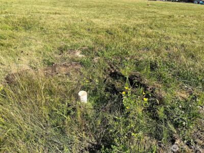 15 Lot 15 - Garden of Eden Road , Sedro Woolley, WA 98284 - Photo 9