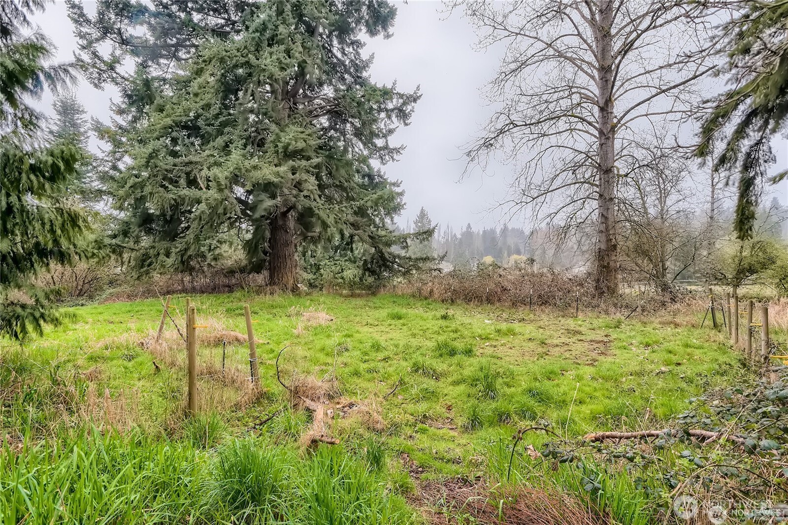 1710 Ludwig Road , Snohomish, WA 98290