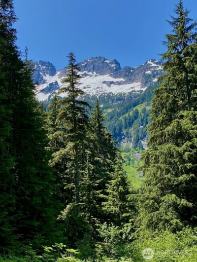 0 XX Mountain Loop Highway , Granite Falls, WA 98252 - Photo 1