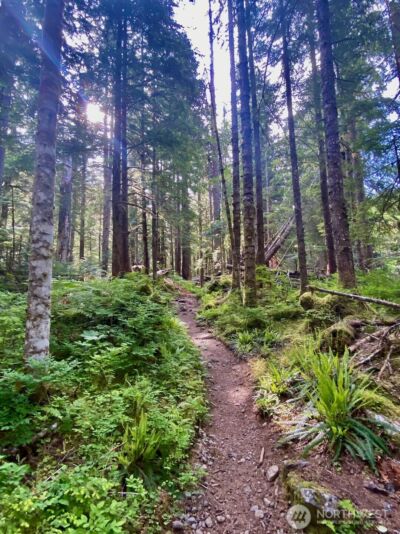 0 XX Mountain Loop Highway , Granite Falls, WA 98252 - Photo 4