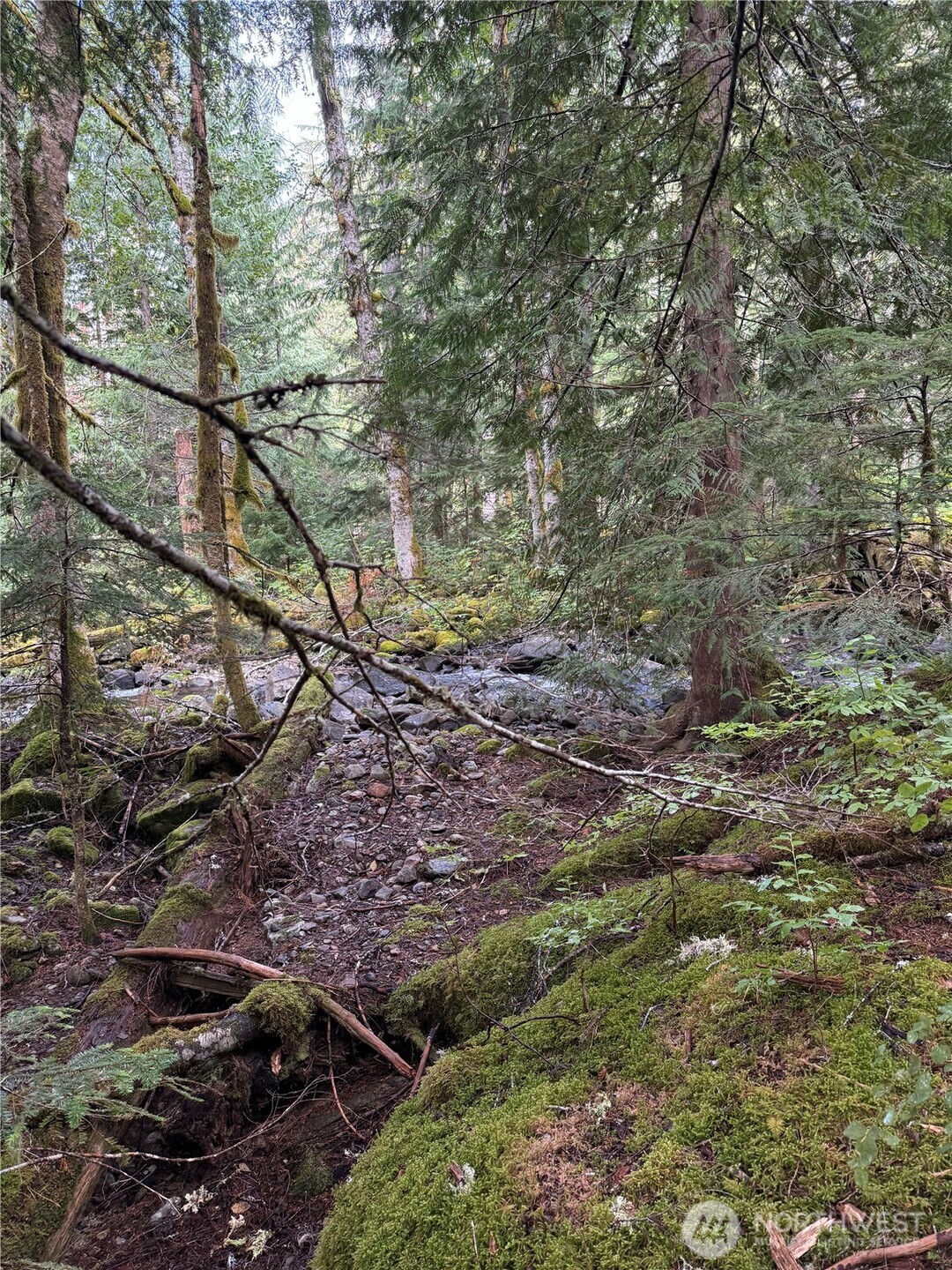 0 XX Mountain Loop Highway , Granite Falls, WA 98252