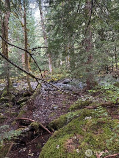 0 XX Mountain Loop Highway , Granite Falls, WA 98252 - Photo 5