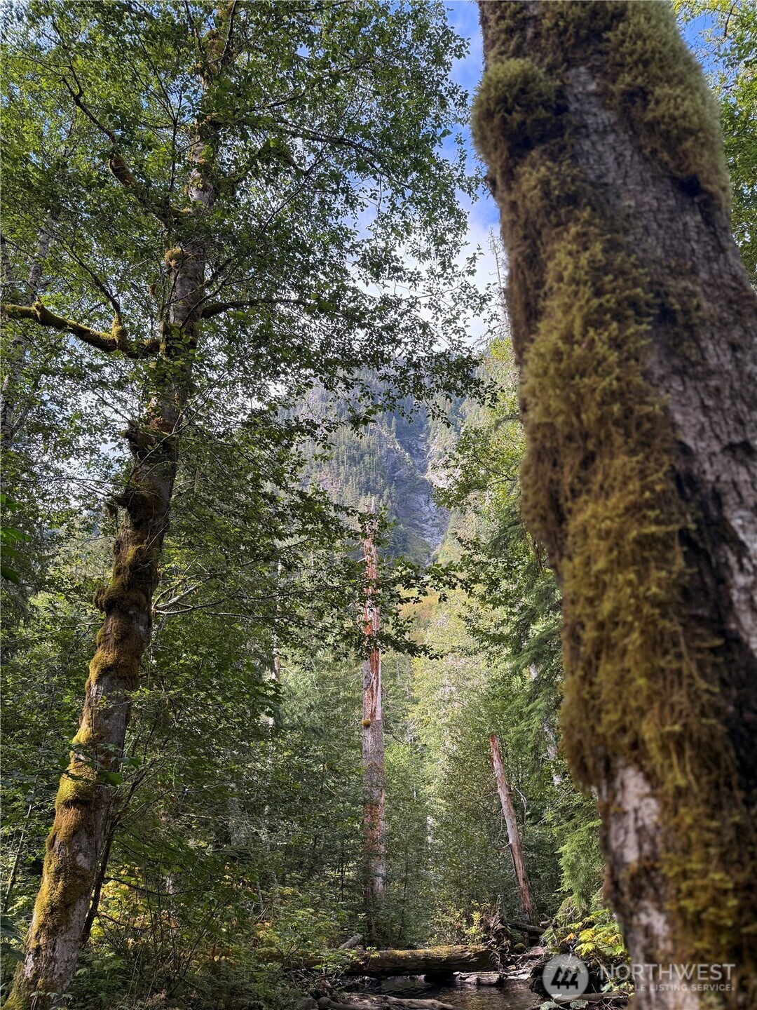 0 XX Mountain Loop Highway , Granite Falls, WA 98252