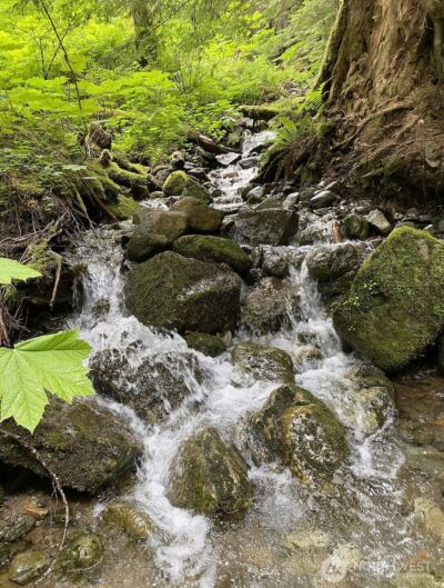 0 XX Mountain Loop Highway , Granite Falls, WA 98252 - Photo 10