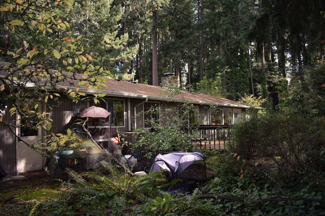 Seasonal Home Buying Tips for Rainier in 2025