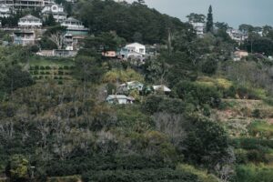 Risks of Investing in Home in Lewis County in 2025