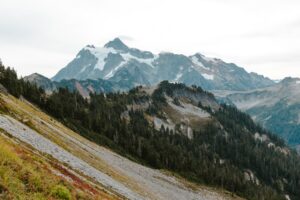 Best Neighborhoods for Home in Tenino in 2026